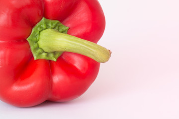 Paprika