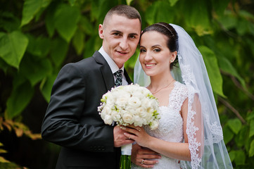 tender wedding couple background green leaf