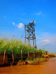 Obraz premium Poteau Electrique du Lac Inle