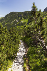 Obraz premium mountains