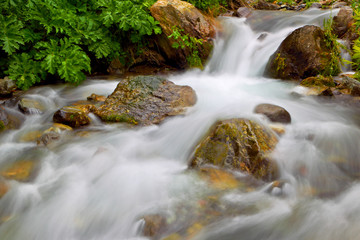 Obrazy na Plexi  Górska rzeka. Upada w Gruzji.