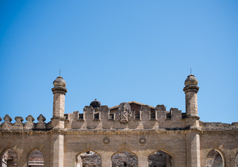 ancient ruined castle