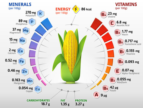 Vitamins and minerals of corn cob. Ear of maize nutrition facts