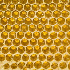 honeycomb texture