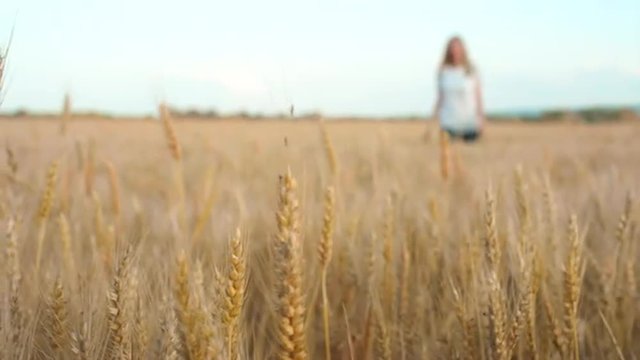 Beautiful Blonde Woman Walking through a Wheat Field