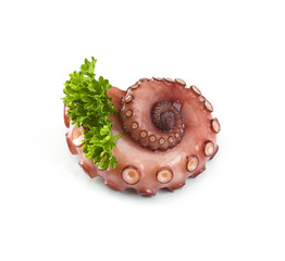 Pulpo