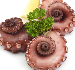 Pulpo