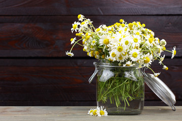 Bouquet of chamomiles in a brown basket on a  isolated white background
