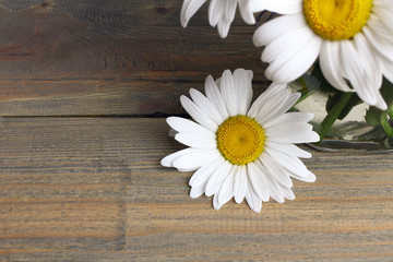 Obraz premium Chamomile in a glass jar and chamomile near glass jar on a brown wooden floor 