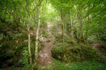 Obraz premium mountain trail with stones