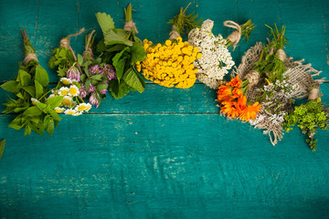 Summer fresh medicinal herbs on the wooden background. © ksu_ok
