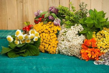 Summer fresh medicinal herbs on the wooden background.