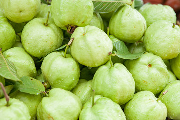 fresh guava fruit