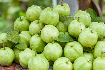 fresh guava fruit