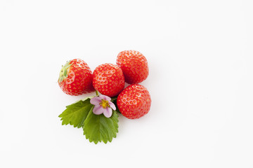 Vier Erdbeeren, Blüte, Blatt