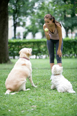 Frau spielt mit den Hunden und macht Sport