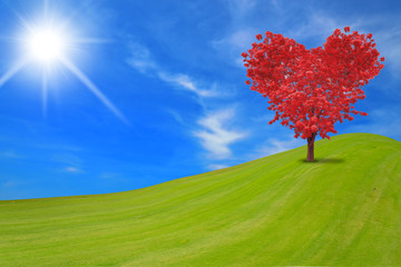 Naklejka na ściany i meble Heart-shaped red tree isolated