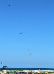 many kites flying high in the sky above the beach in summer