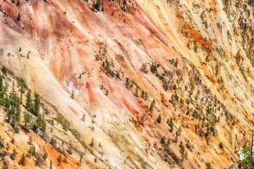 Grand Canyon of the Yellowstone
