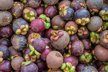 Mangosteen
