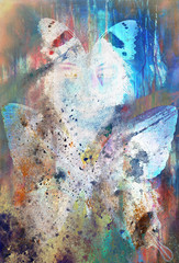 Obraz na płótnie Canvas illustration of a butterfly, mixed medium, color background