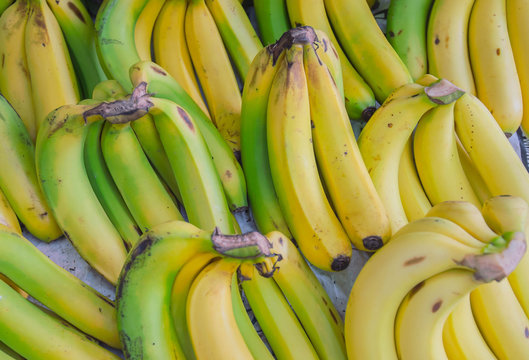 bananas background with green and Yellow