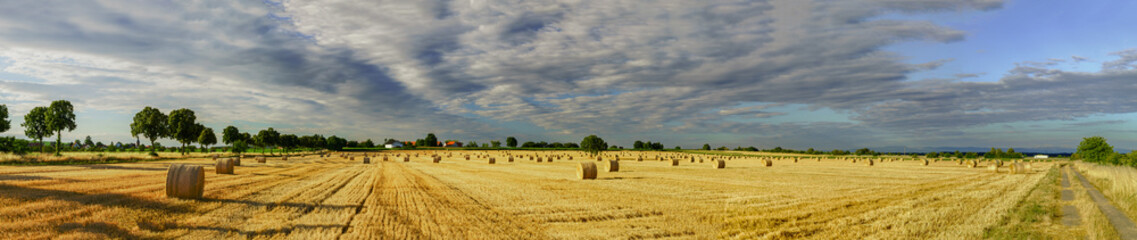 Fototapeta na wymiar Beautiful yellow field with haystacks at sunset