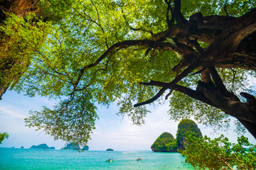 View of Railay beach island, Andaman sea, krabi,Thailand