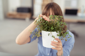 mitarbeiterin im büro versteckt sich hinter pflanze