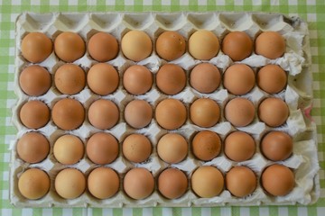 並ぶ卵