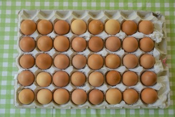 並ぶ卵