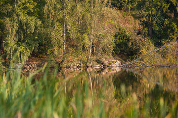 Weiher im Herbstkleid