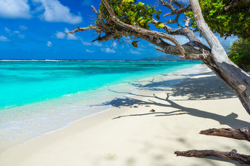 Paradijswit strand op het eiland La Digue in de Seychellen - Anse Source d& 39 Argent