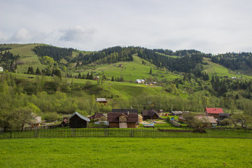 Beautiful spring landscape in Carpathians mountains. Ukraine.