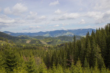 Beautiful spring landscape in Carpathians mountains. Ukraine.