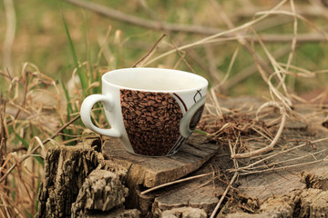 coffee cup on the wood