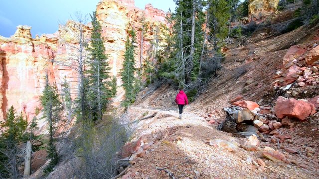 Woman Backpacker hiking up the Ponderosa Canyon Bryce National Park steady tripod