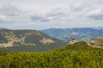 Obraz premium Beautiful spring landscape in Carpathians mountains. Ukraine.