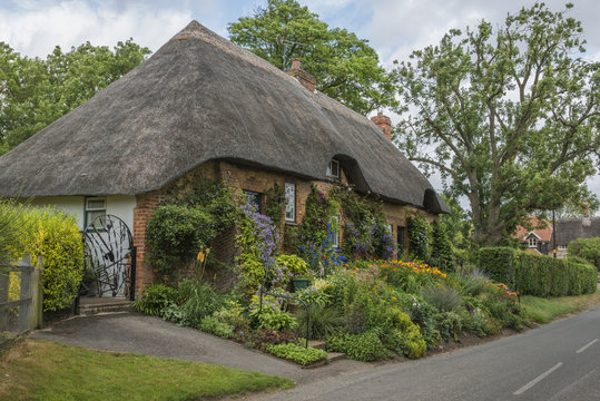 Traditional Thatched Cottage In Rural English Countryside