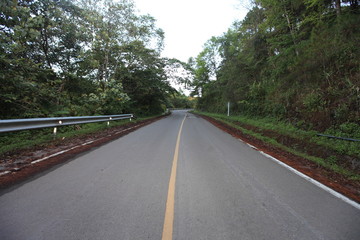Morning on the road to sunflower hill with blue sky , northern Thailand.