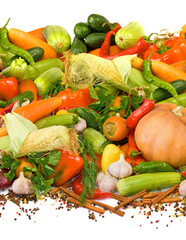  different vegetables on a white background