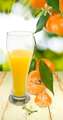 image of juicy and tangerine