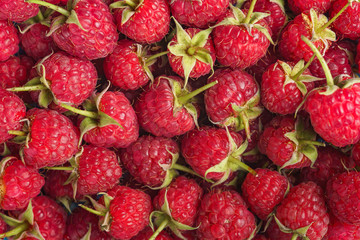Sweet red raspberry as a background