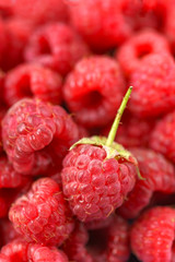 Sweet red raspberry as a background