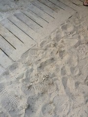 Fussabdruecke im Sand