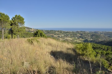 The Mediterranean sea from the mountain