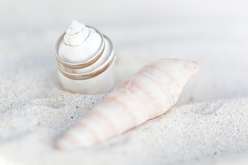 Romantic tropical scene on beach