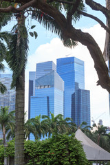 Fototapeta na wymiar Palm trees and Singapore skyline with skyscrapers