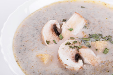 Mushrooms cream soup with agaric