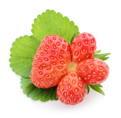 Strawberry with leaves